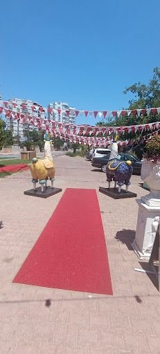 Fotoğraf 24