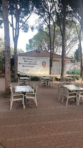 Fotoğraf 45