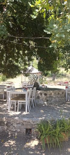 Yorum fotoğrafı 8