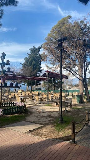 Fotoğraf 46