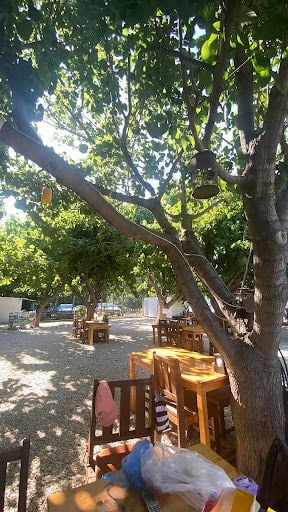Yorum fotoğrafı 9