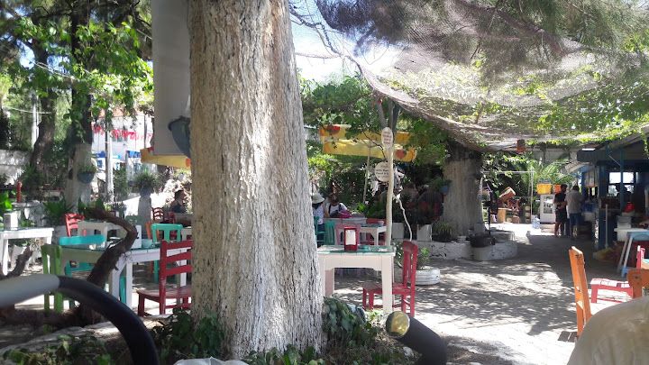 Yorum fotoğrafı 3