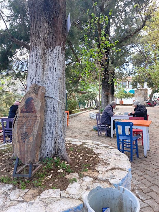 Yorum fotoğrafı 3