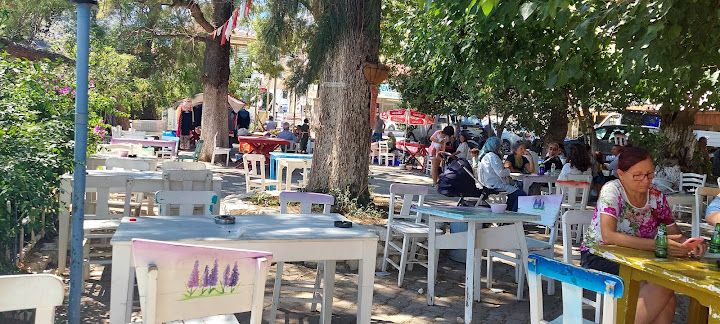 Yorum fotoğrafı 2