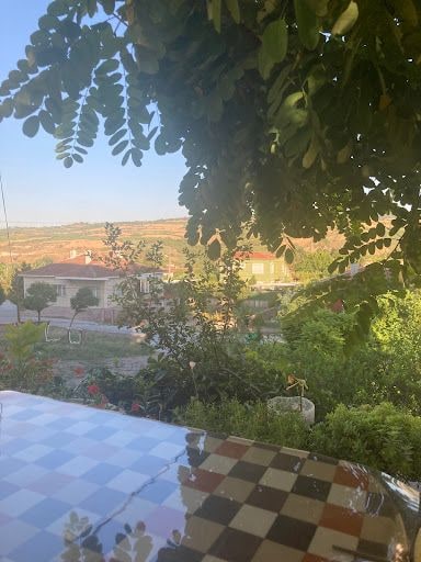 Fotoğraf 6