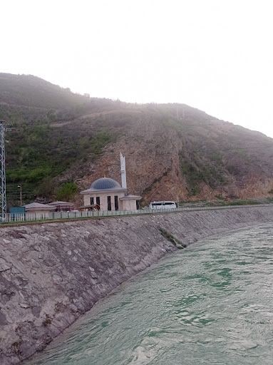 Fotoğraf 12