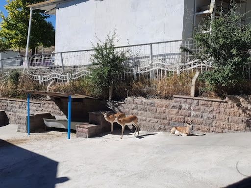 Yorum fotoğrafı 10