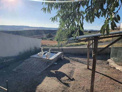 Yorum fotoğrafı 4
