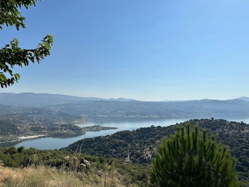 Fotoğraf 13