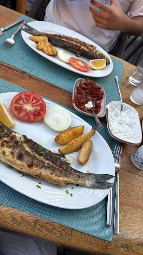 Yorum fotoğrafı 6