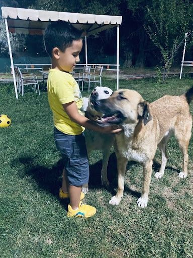 Yorum fotoğrafı 2
