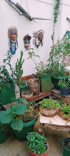 Fotoğraf 14