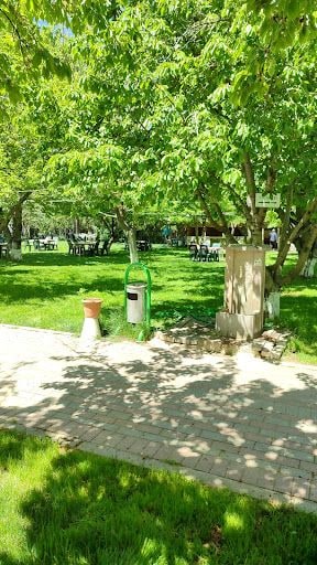 Yorum fotoğrafı 6