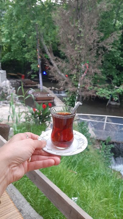 Fotoğraf 38
