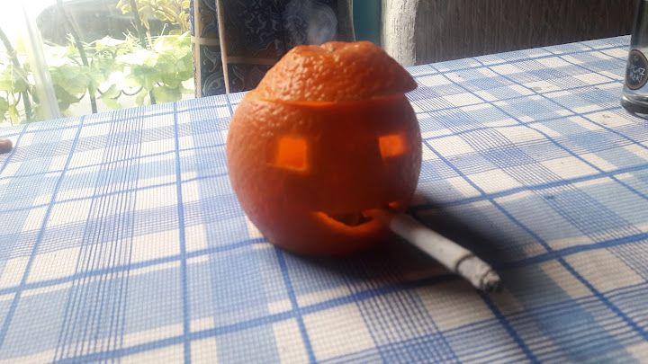 Fotoğraf 24
