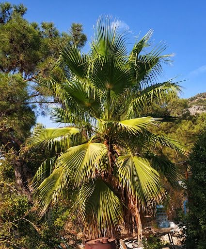 Fotoğraf 14
