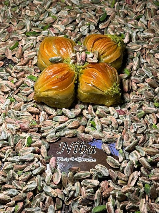 Fotoğraf 17