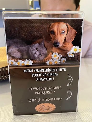 Yorum fotoğrafı 4