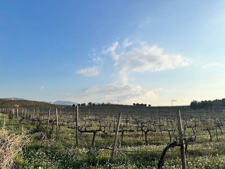 Fotoğraf 51