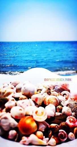 Yorum fotoğrafı 5