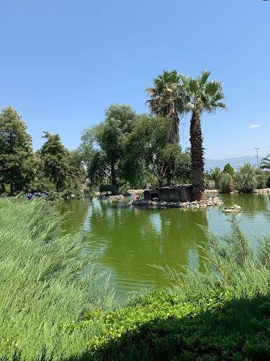 Fotoğraf 15
