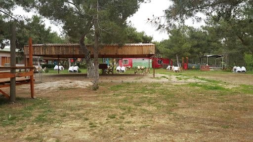 Yorum fotoğrafı 5