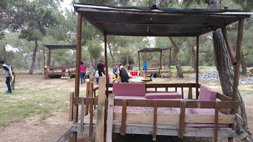 Yorum fotoğrafı 6