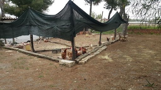 Yorum fotoğrafı 7