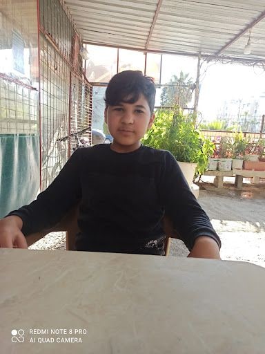 Yorum fotoğrafı 3