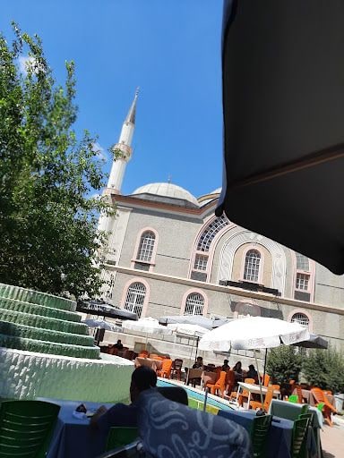 Fotoğraf 11
