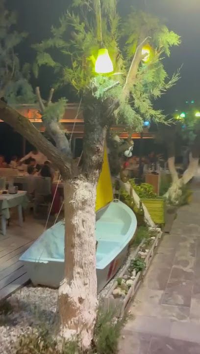 Fotoğraf 34