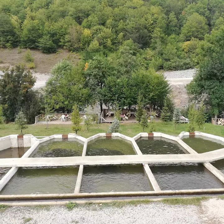 Balık Yemek Yeri