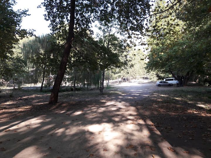 Yorum fotoğrafı 4