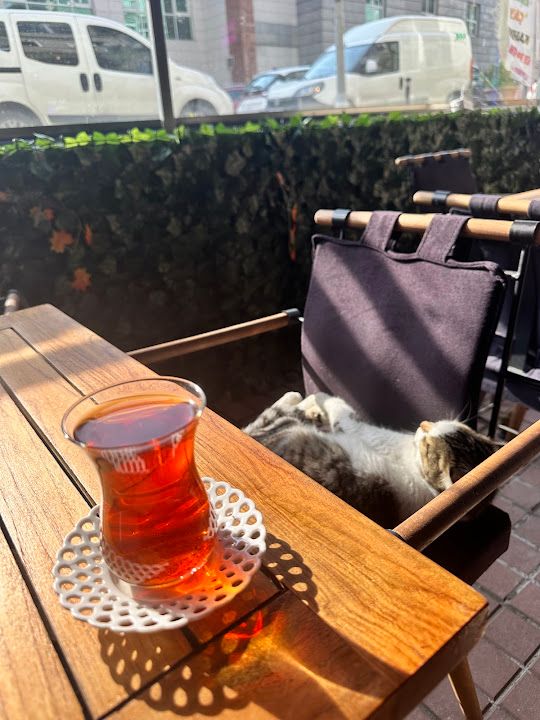 Fotoğraf 16