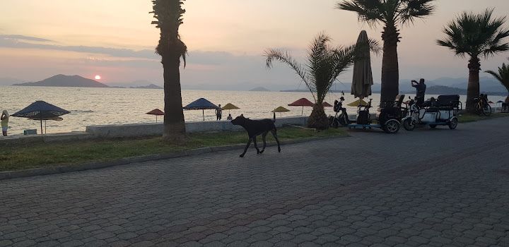 Yorum fotoğrafı 4