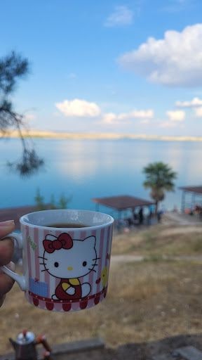 Yorum fotoğrafı 8