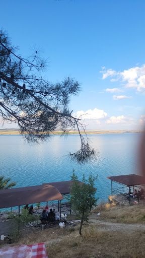 Yorum fotoğrafı 9