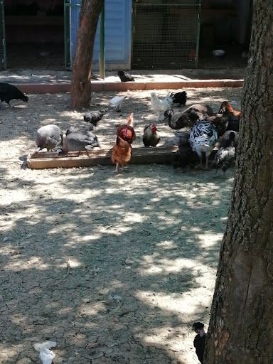 Yorum fotoğrafı 4