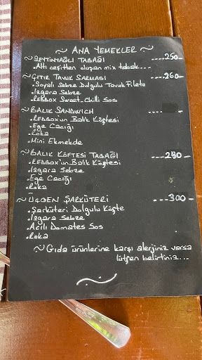 Yorum fotoğrafı 2