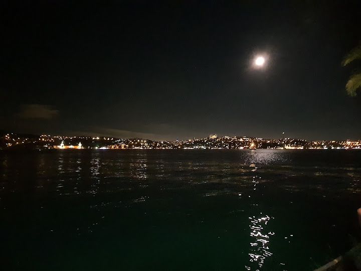 Fotoğraf 12