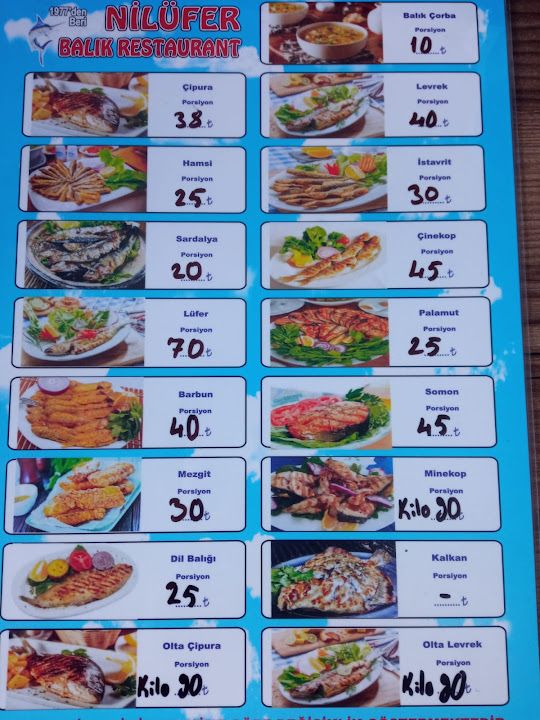 Fotoğraf 17