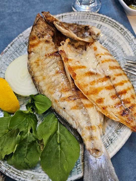 Fotoğraf 43