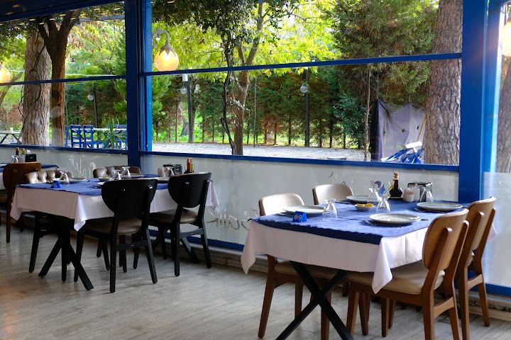 Fotoğraf 37