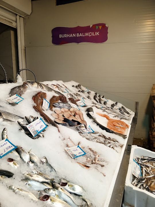 Fotoğraf 25