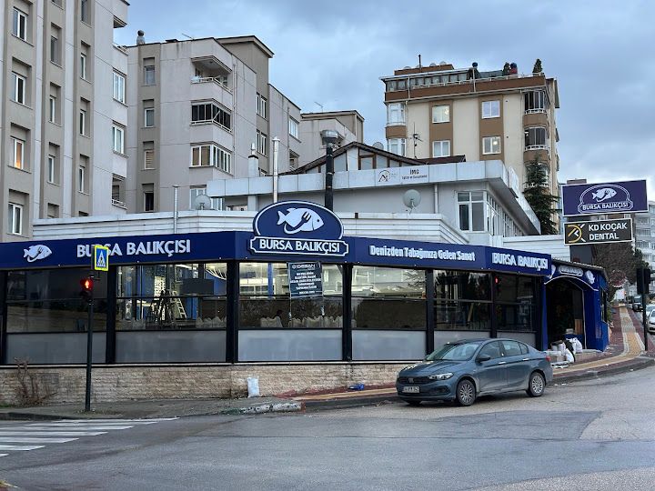 Bursa Balıkçısı