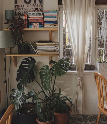 Yorum fotoğrafı 8