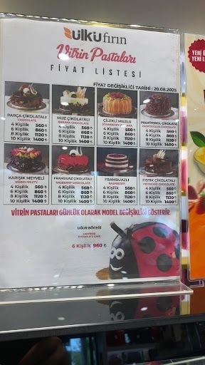 Yorum fotoğrafı 8
