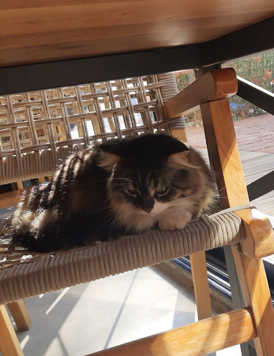Yorum fotoğrafı 3