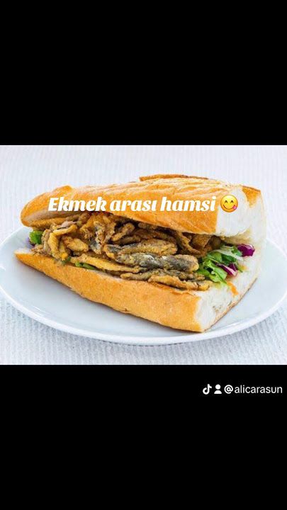 Fotoğraf 19