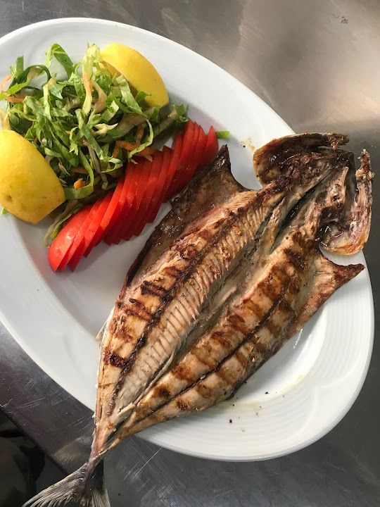 Fotoğraf 17
